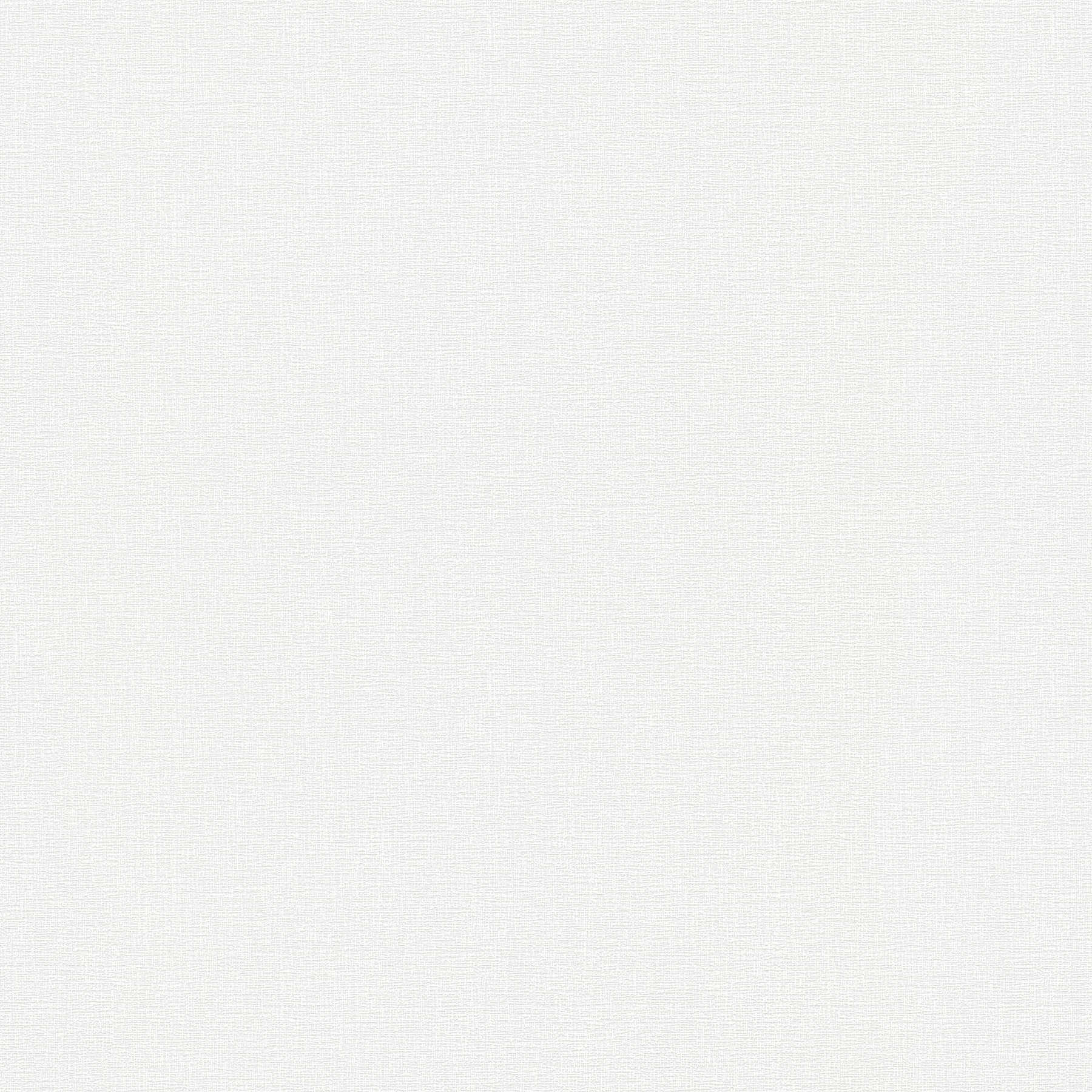 Matētas baltas tapetes ar smalku tekstūru neitrālam un vieglam interjeram