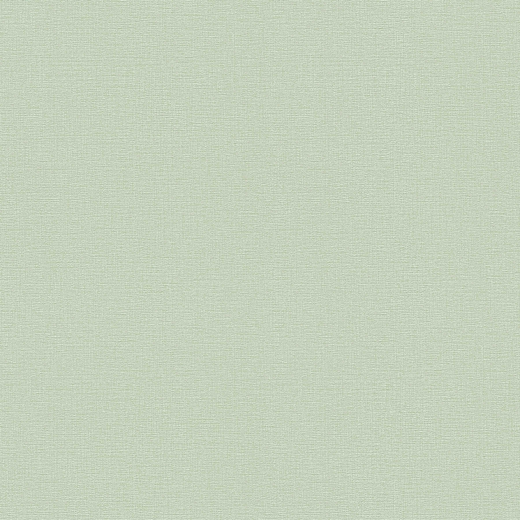 Tapetes ar dabīgu tekstūru, piemērotas zaļām sienām dabiskam interjeram