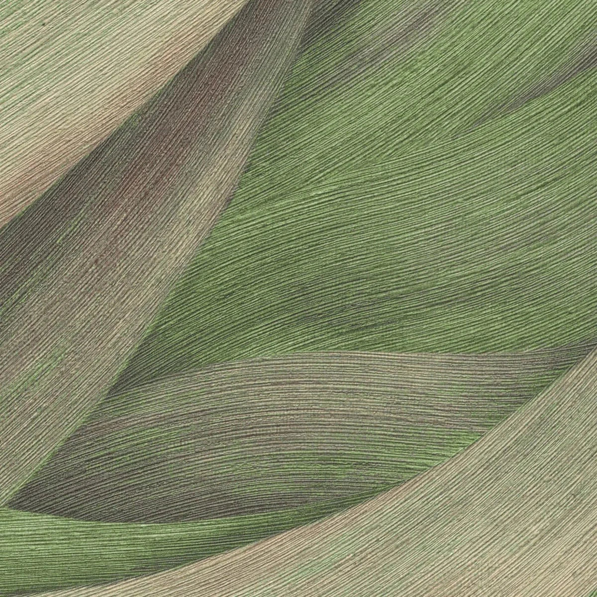 Zaļas viļņveida tapetes – dabisks un atsvaidzinošs interjera akcents  