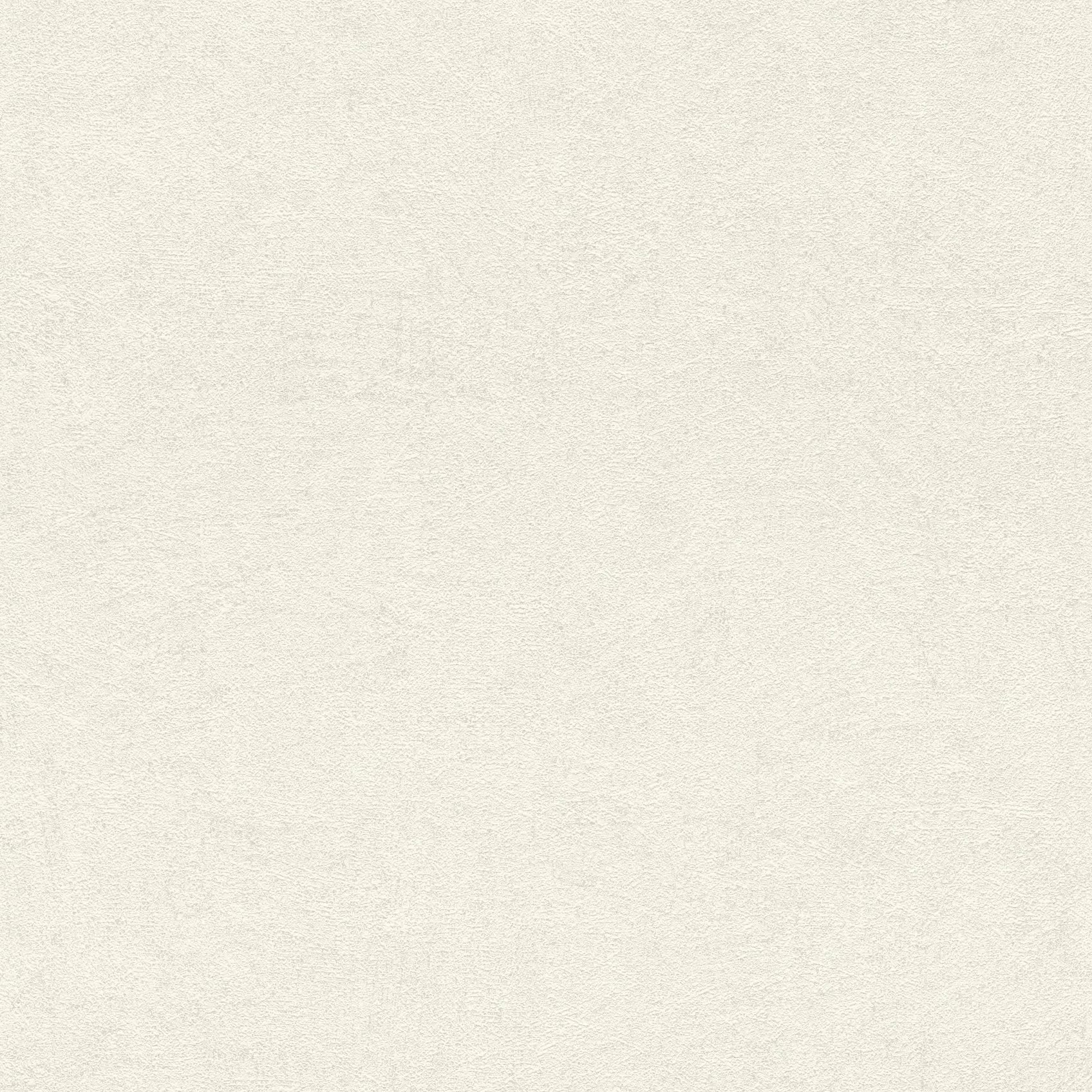 Flizelīna tapetes RASCH baltā krāsā ar smalku un tekstūru, 699845, Welcome home