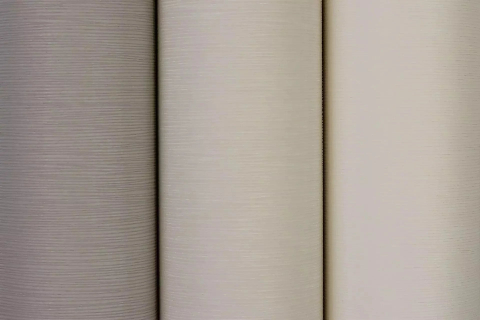 Flizelīna tapetes, pelēkos toņos ar nelielu tekstūru,RASCH, 419962, Welcome home