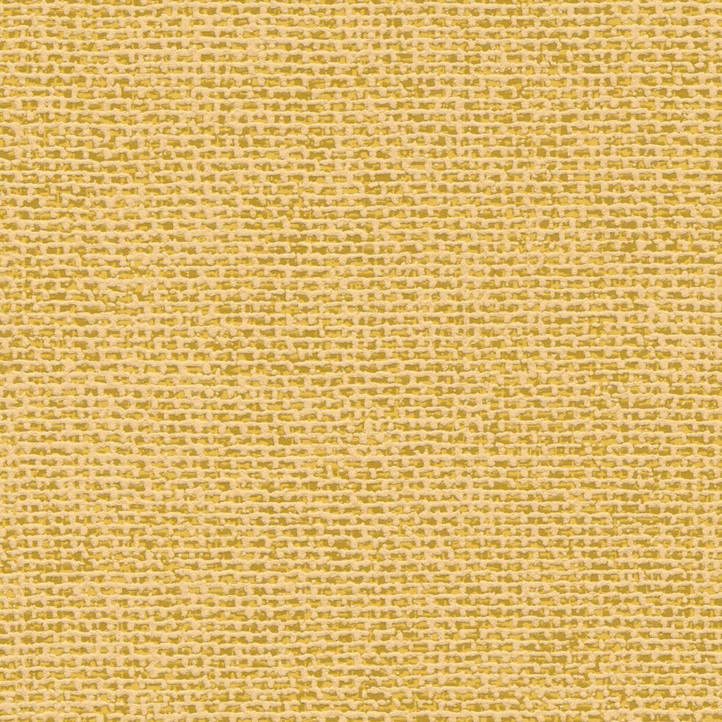 Vienkrāsainas matētas tapetes, dzeltenā tonī, RASCH, 312195, Color Your Life