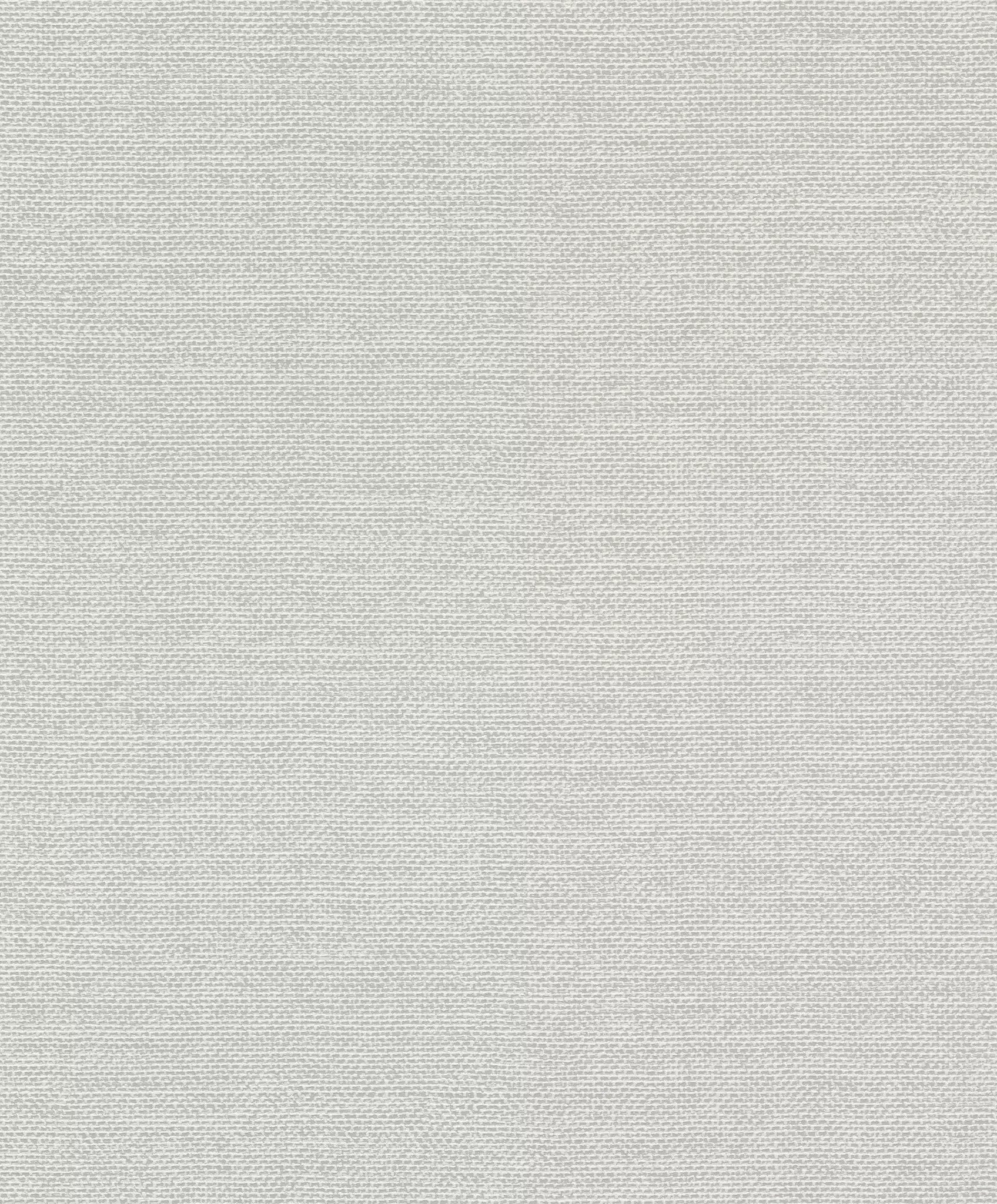 Vienkrāsainas matētas tapetes, gaiši pelēkā tonī, RASCH, 312133, Color Your Life