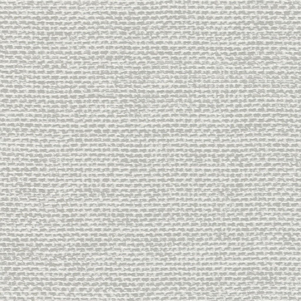 Vienkrāsainas matētas tapetes, gaiši pelēkā tonī, RASCH, 312133, Color Your Life