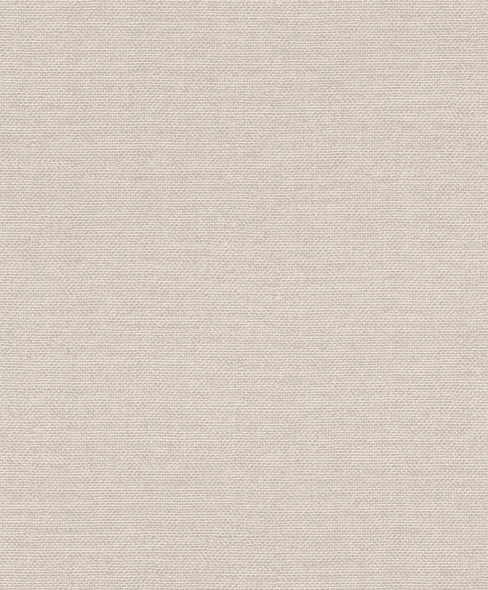 Vienkrāsainas matētas tapetes, pelēka-bēšā tonī, RASCH, 312140, Color Your Life