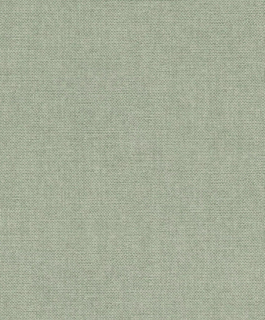 Vienkrāsainas matētas tapetes, zaļā tonī, RASCH, 312218, Color Your Life