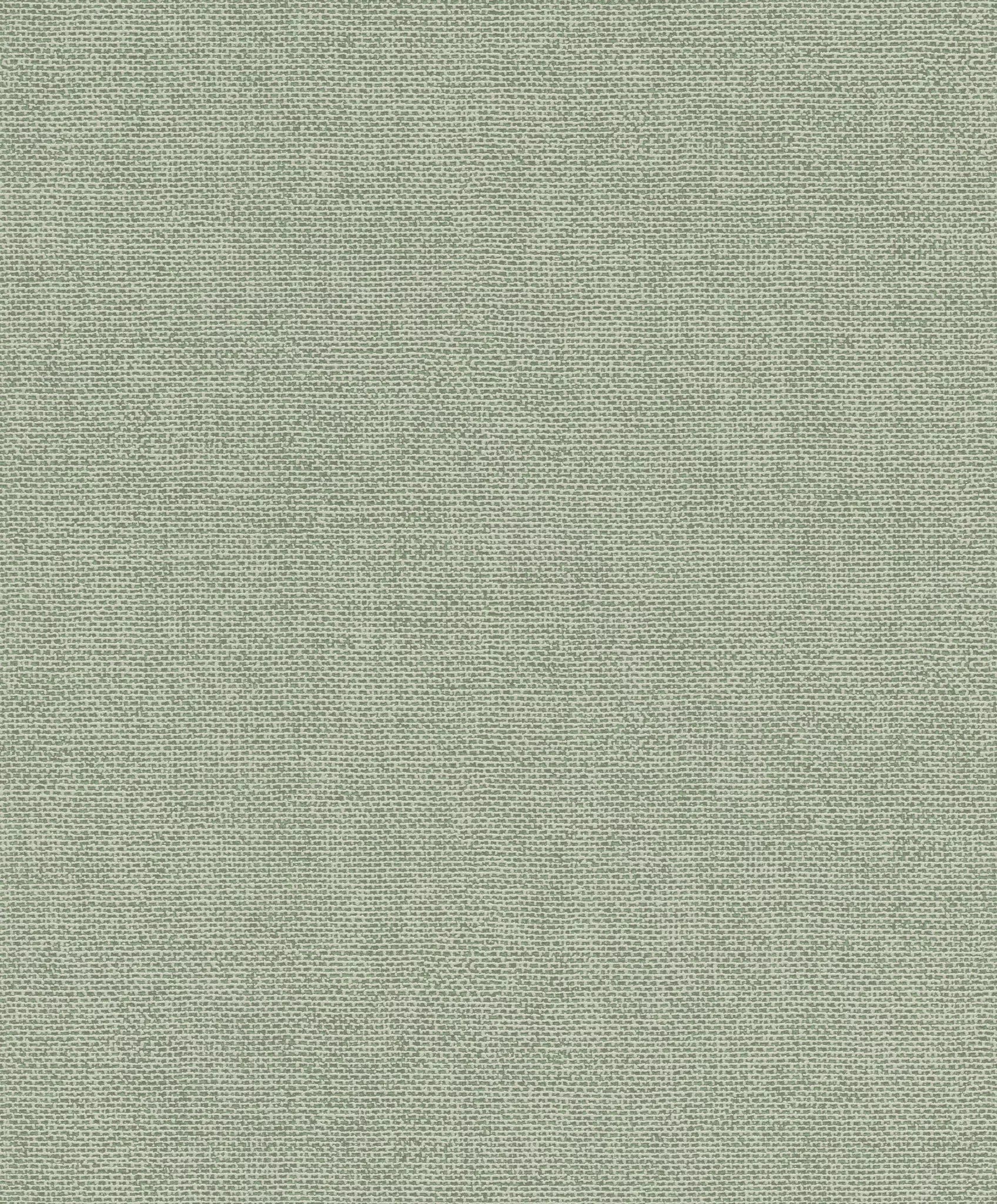 Vienkrāsainas matētas tapetes, zaļā tonī, RASCH, 312218, Color Your Life