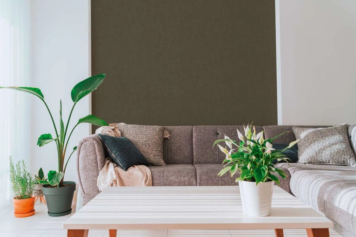 Tumši brūnas vienkrāsainas tapetes ar vieglu tekstūru un spīdumu | 3012160