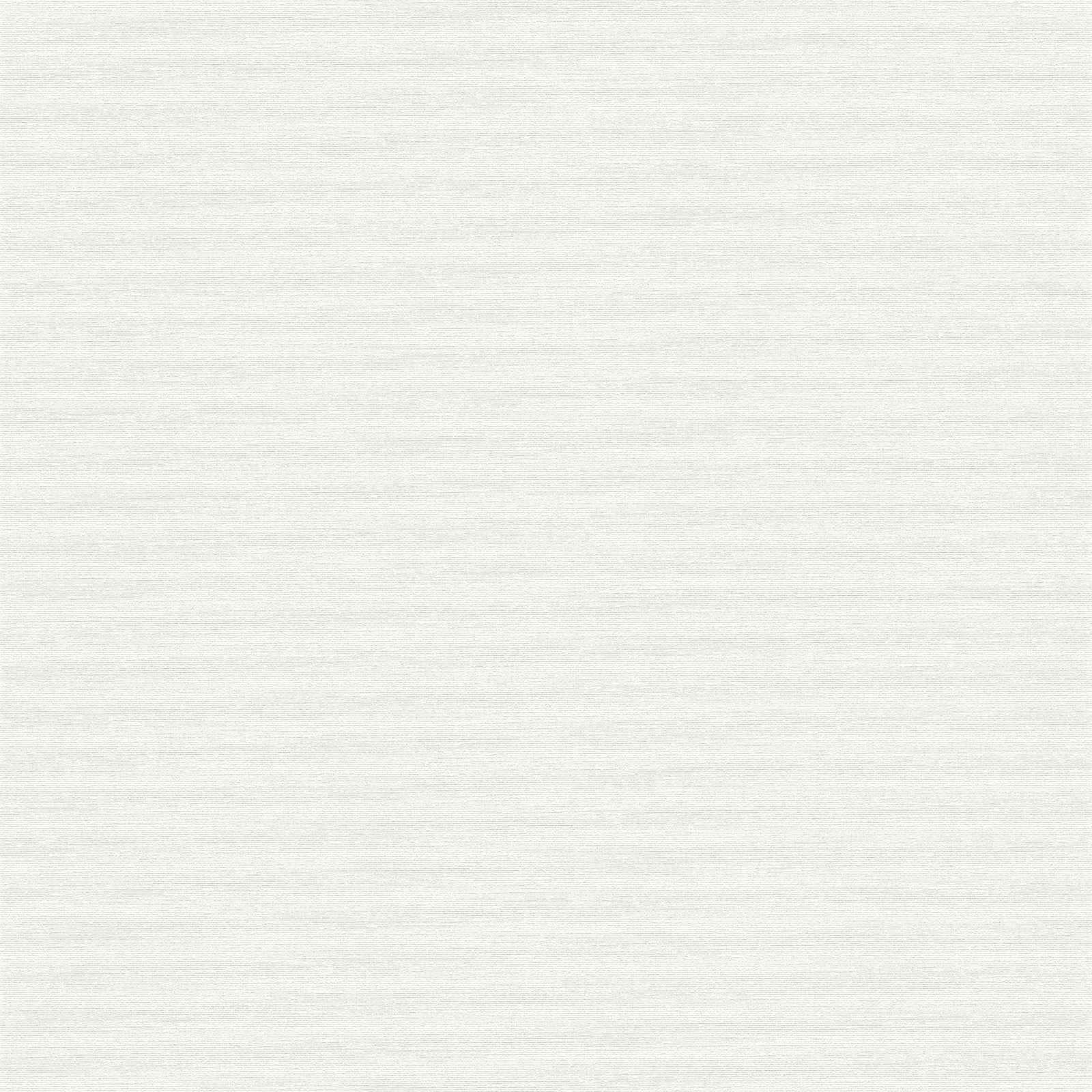 Gaiši pelēkas tapetes ar lina auduma efektu - vizualizācija interjerā