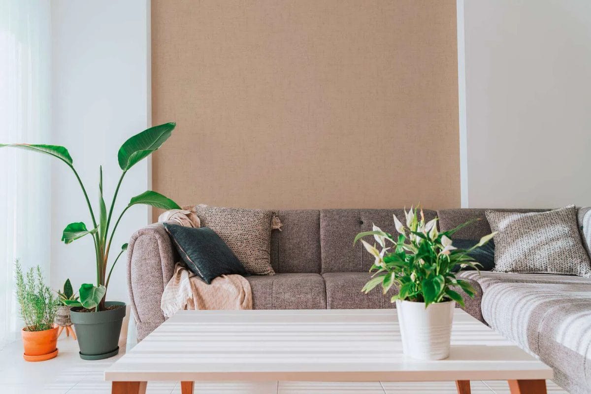 Brūnas vienkrāsainas tapetes ar smalku matētu apdari | 3012144