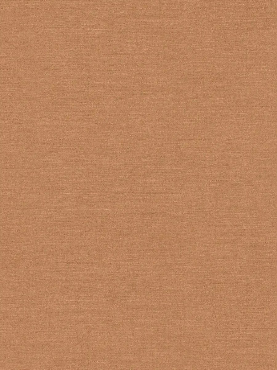 Brūnas vienkrāsainas tapetes ar smalku matētu tekstūru | 3012153