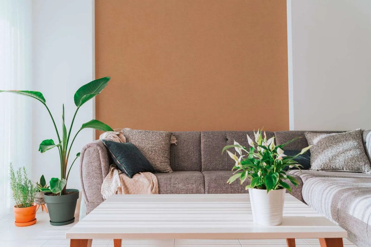 Brūnas vienkrāsainas tapetes ar smalku matētu tekstūru | 3012153